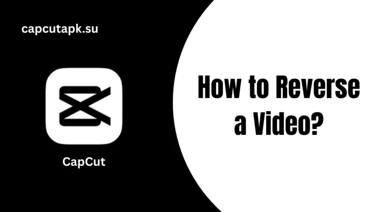 How to Reverse a Video